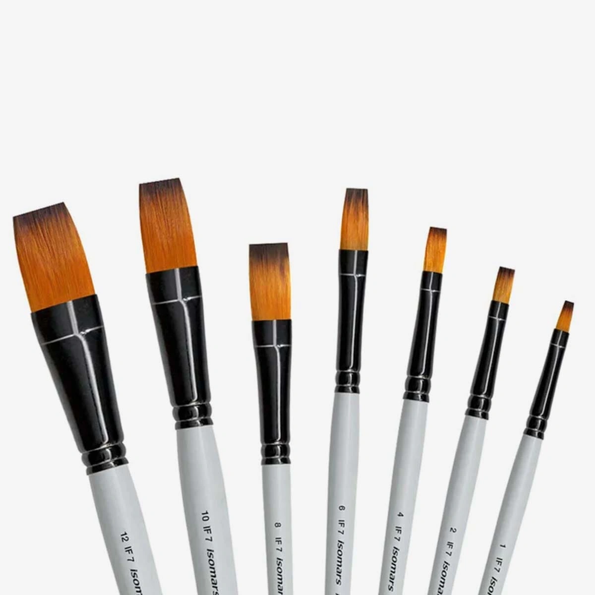 Isomars Paint Brushes Set Of 7 - Flat