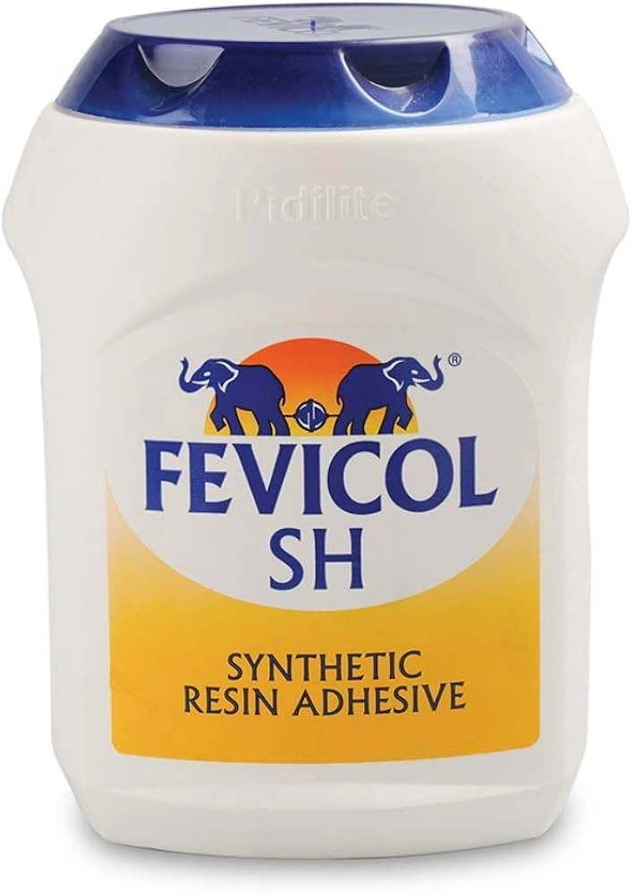 Fevicol 1 Kg