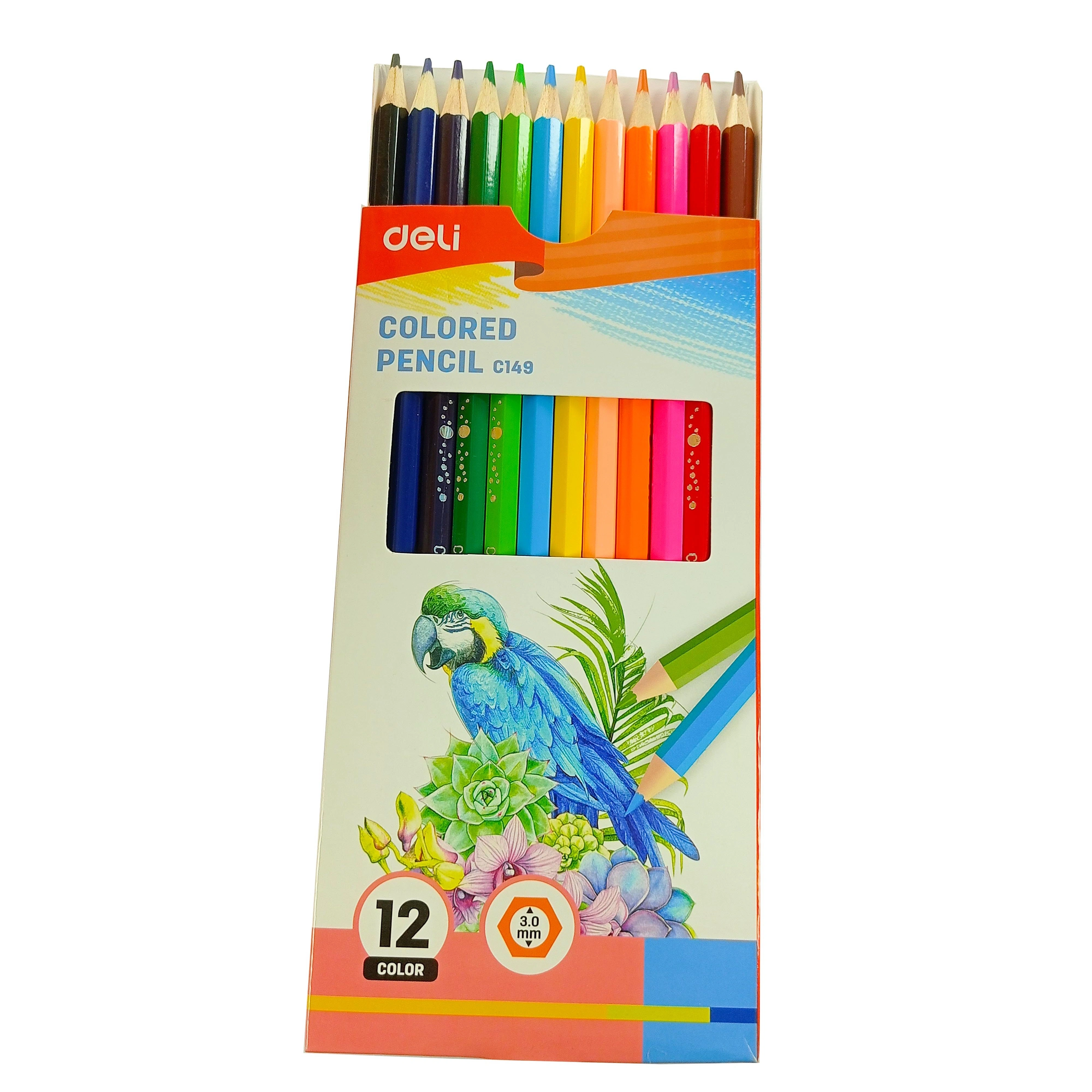 Deli 12 Colour Pencil ( Pack Of 12 Pcs)